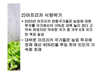 식량문제 - 식량부족의 현 실태 -14