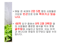 식량문제 - 식량부족의 현 실태 -17