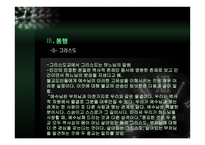 동행 - 불교와 그리스도교의 대화 -20