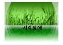 시각장애 (원인과 정의) -1