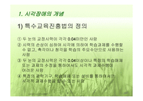 시각장애 (원인과 정의) -3