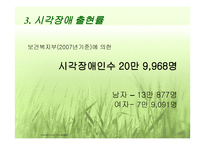 시각장애 (원인과 정의) -9