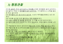 시각장애 (원인과 정의) -12