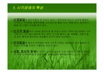 시각장애 (원인과 정의) -13