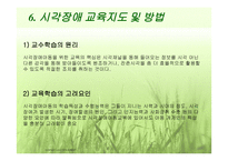시각장애 (원인과 정의) -14
