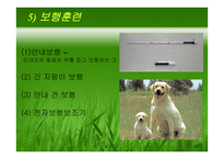 시각장애 (원인과 정의) -17