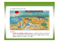 환경오염 및 재해 안전 -12