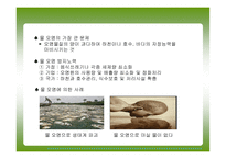 환경오염 및 재해 안전 -15