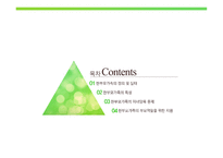 한부모가족의 부모역할 - 정의 및 실태, 특성 -2