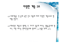 교육과 사회평등 - 계층 -5