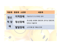 장애아의 부모교육  - 정의, 유형, 문제점 -8