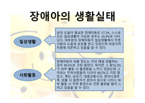 장애아의 부모교육  - 정의, 유형, 문제점 -13