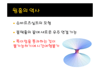 타임머신에 대한 모든 것-폴 데이비스 - 폴데이비스의 타임머신을 읽고 청독 -18