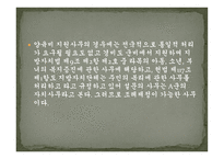 자치사무와 기관위임사무 -8