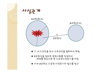 교회의 분열에 따른 교회재산의 귀속 -2