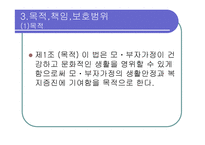 모부자복지법 - 모,부자가정이 겪고있는 문제 -5