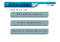 북핵 문제의 현 주소와 바람직한 길 _ 북핵 폐기 -4