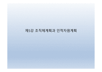 조직체계획과 인적자원계획 -1