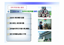 부동산경제론 - 지역간 격차의 확대 이유와 해결방안 -12