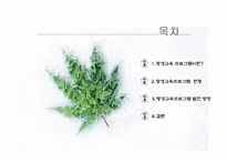 평생교육프로그램개발 현황, 발전 방향 -2