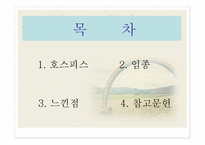 호스피스 및 임종 - 호스피스 -2
