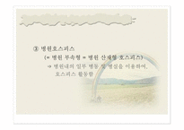 호스피스 및 임종 - 호스피스 -8