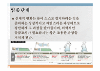 가족복지론 - 호스피스케어가족 - 호스피스란, 역사, 철학, 유형, 통증사정 -17