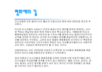 이스라엘-팔레스타인분쟁 -9