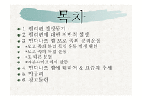 필리핀 민다나오 섬의 분쟁 -2