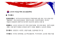 전라남도 지역축제의 관광 -15