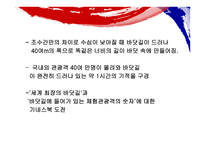 전라남도 지역축제의 관광 -16