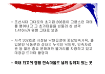 전라남도 지역축제의 관광 -18