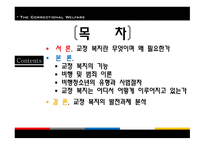 교정복지 - 기능, 이론 -2