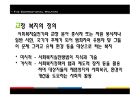 교정복지 - 기능, 이론 -3