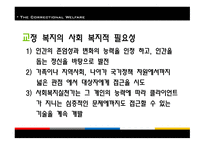 교정복지 - 기능, 이론 -4