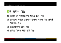 교정복지 - 기능, 이론 -7