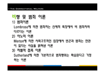 교정복지 - 기능, 이론 -8