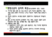 교정복지 - 기능, 이론 -10