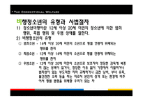 교정복지 - 기능, 이론 -12