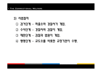 교정복지 - 기능, 이론 -13
