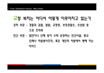 교정복지 - 기능, 이론 -15
