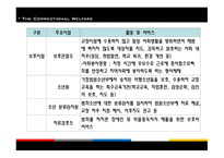 교정복지 - 기능, 이론 -17