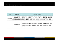교정복지 - 기능, 이론 -18