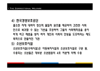 교정복지 - 기능, 이론 -20