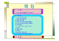 실버타운, 노인문제의 돌파구가 될 것인가 -2