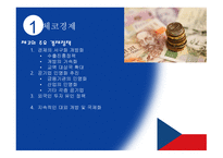 체코 - 체코의 민영화 -4