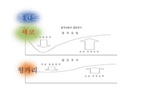 체코 - 체코의 민영화 -19