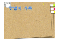 맞벌이 가족 - 개념, 맞벌이를 하는 이유, 유형 -1