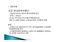 지방자치론 - 정부 간 갈등사례와 해결방안 - 갈등사례내용, 갈등사례 해결방안 -4