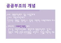 공공부조법 - 공공부조법의 개념 및 특징, 공공부조의 기본원리, 공공부조와 사회보험 -3